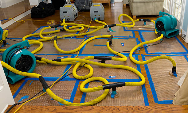 Professional Water Extraction technician working in Essex Fells, NJ
